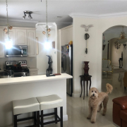 4w gandara construction miami lake 8 1