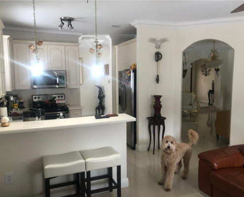 4w gandara construction miami lake 8 1